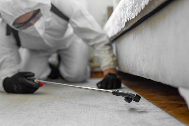 Professional Cockroach Control technician working in Flagler Estates, FL