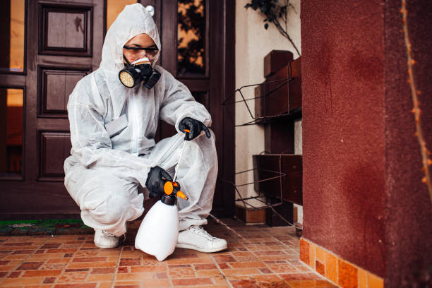Reliable Cockroach Control contractor in Flagler Estates, FL by Nex Pest Control