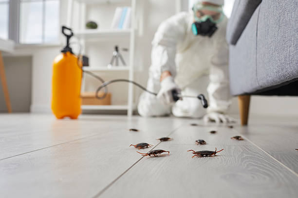 Affordable Cockroach Control solutions in Flagler Estates, FL